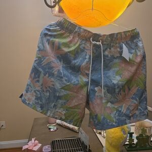 Nike Light Blue and Pink Printed Swim Shorts